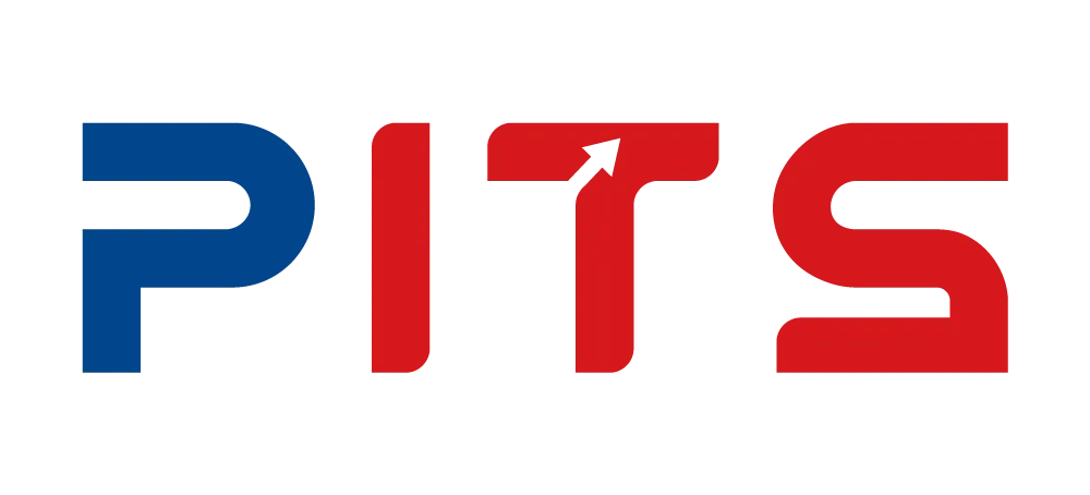Pravasis IT Solutions Logo